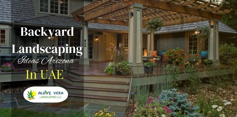 Backyard Landscaping Ideas Arizona