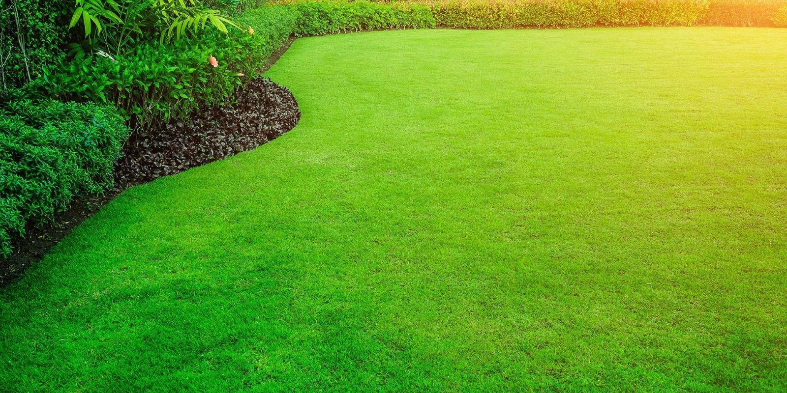 Evergreen Lawn