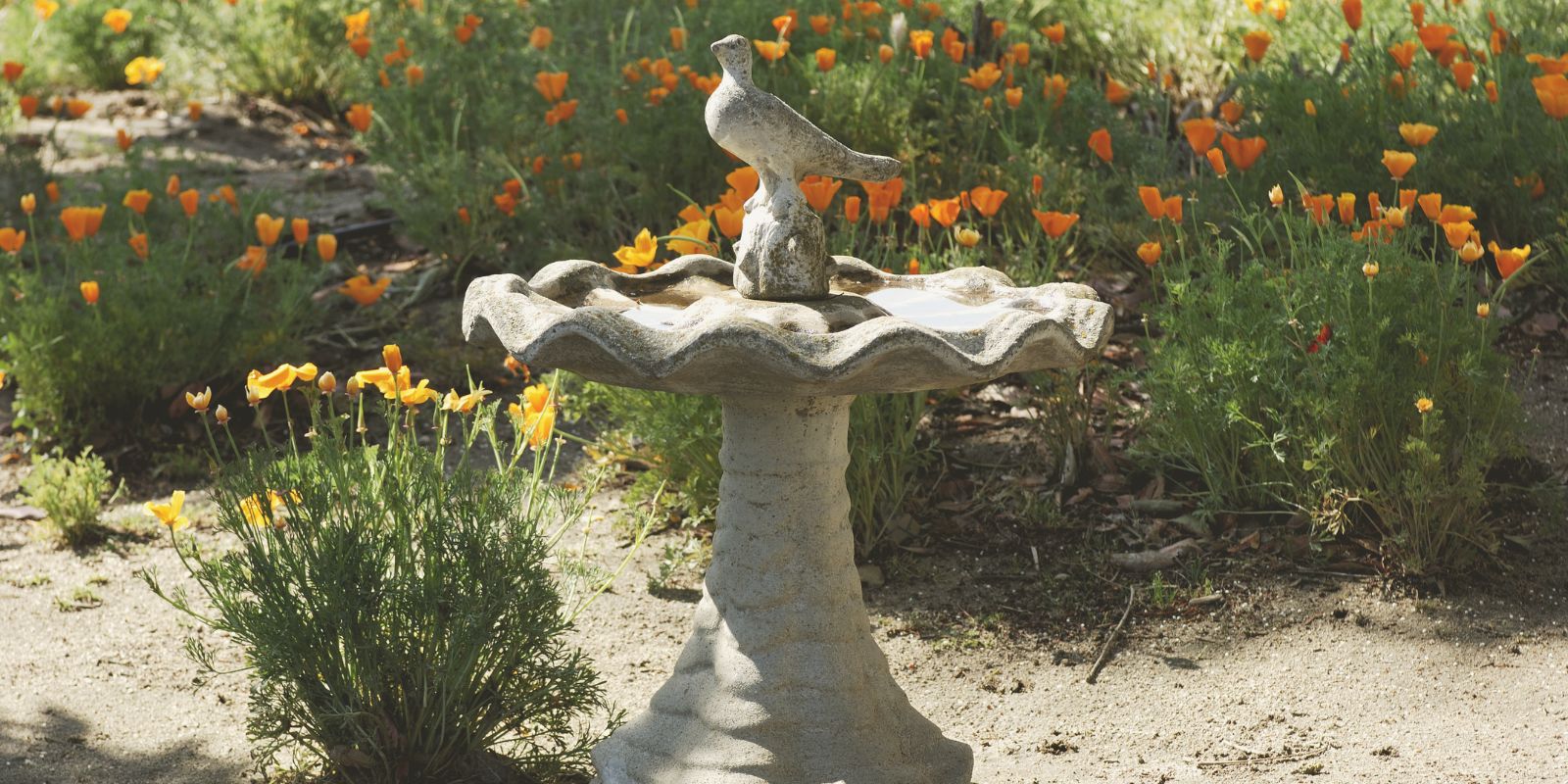 Installing a Bird Bath