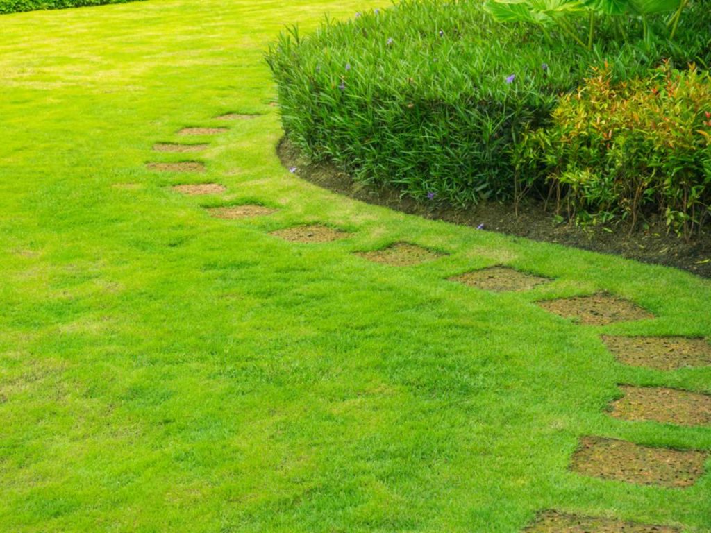 mowed path