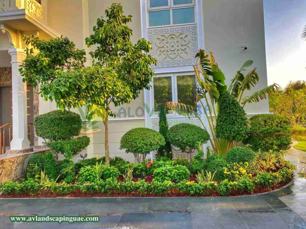 planting in front yard