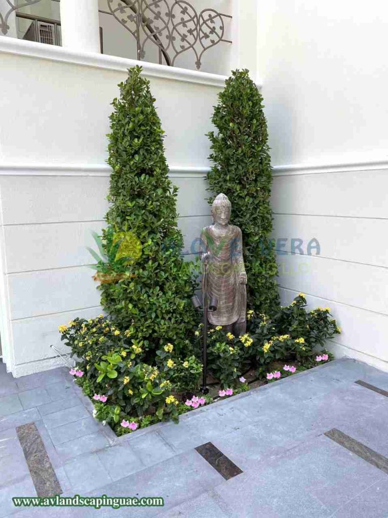 a statue besides the front wall surrounded by plants