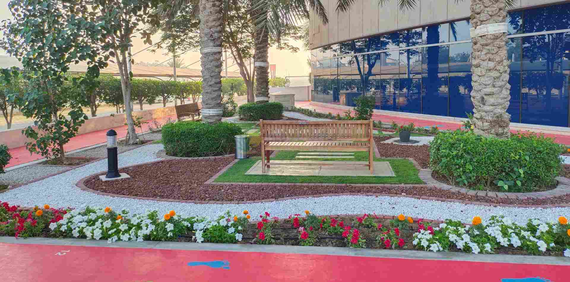 Beautiful commercial landscape with a paved walkway and sitting bench