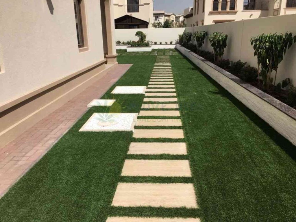 pathway in side lawn