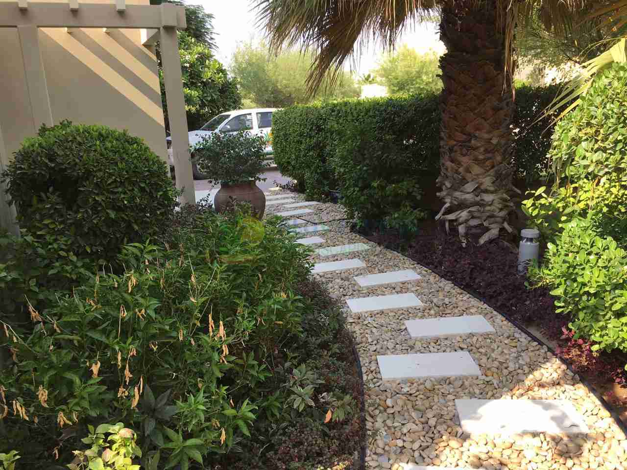 paved walkway through garden