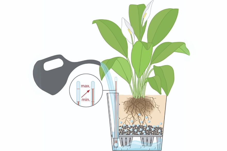 A diagram displaying working of sub-irrigation system