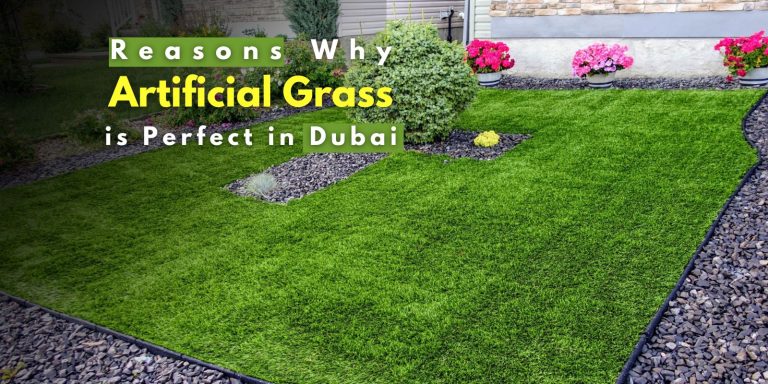 a feature image featuring artificial grass in lawn