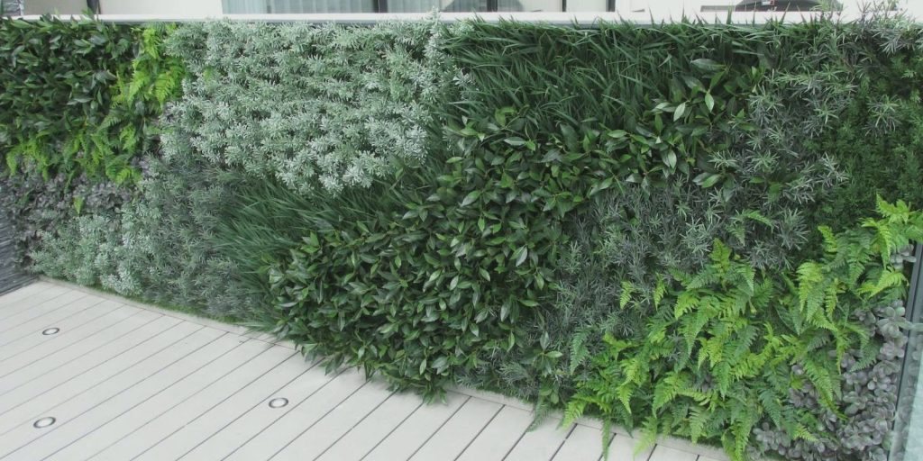 Green Wall Natural Privacy