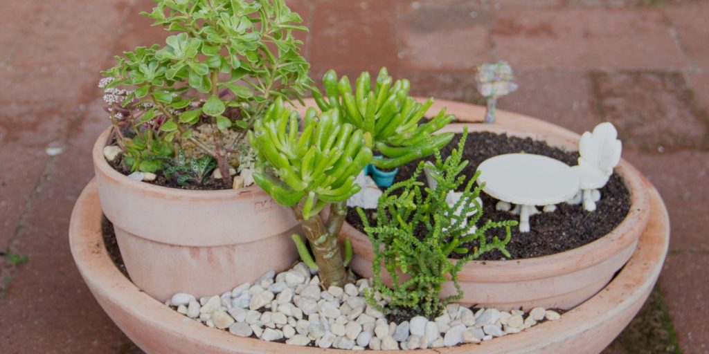 Succulent Fairy Garden Ideas in Pots