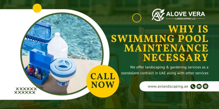 Swimming Pool Maintenance