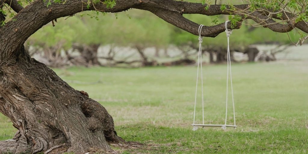 tree swings