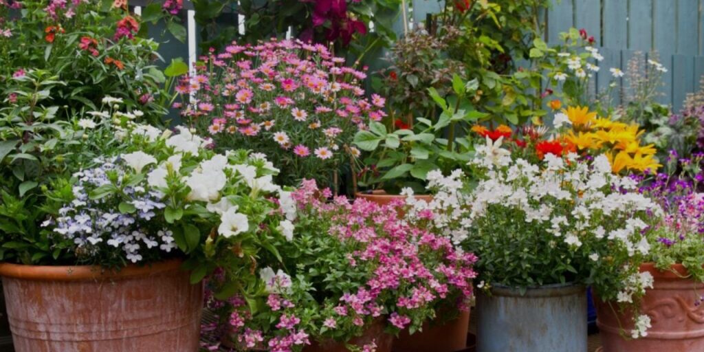 Color-Coordinated Pots