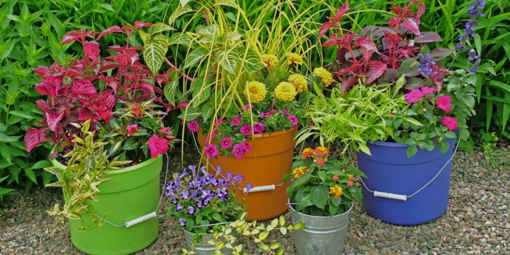 Container Garden