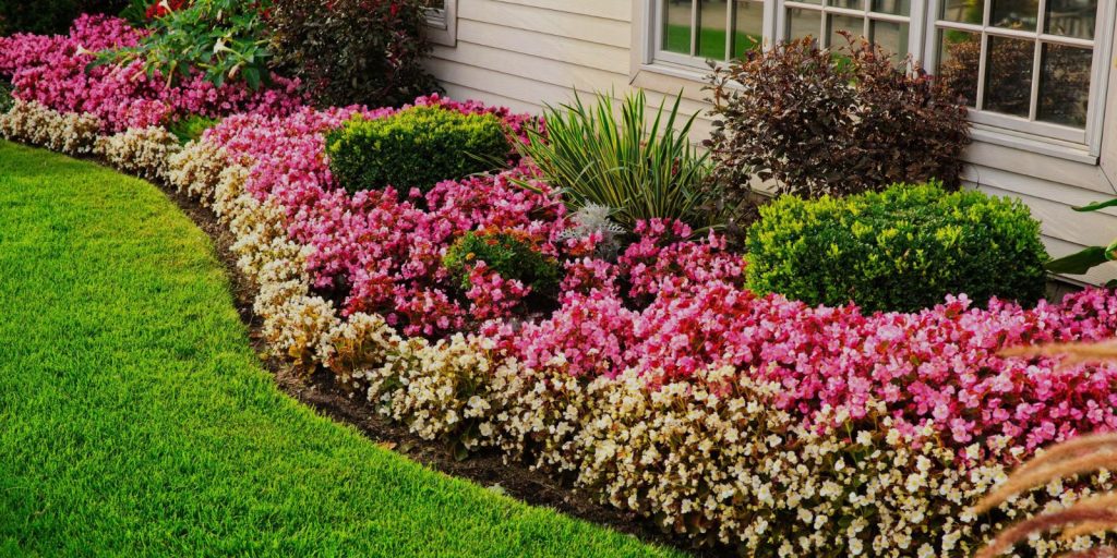 Curved Flower Beds