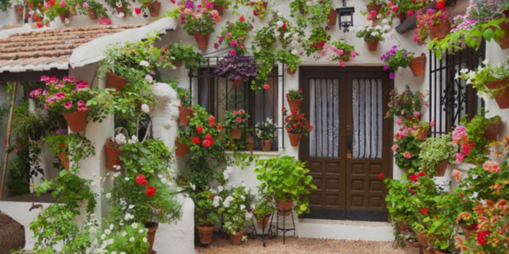 Hanging Baskets