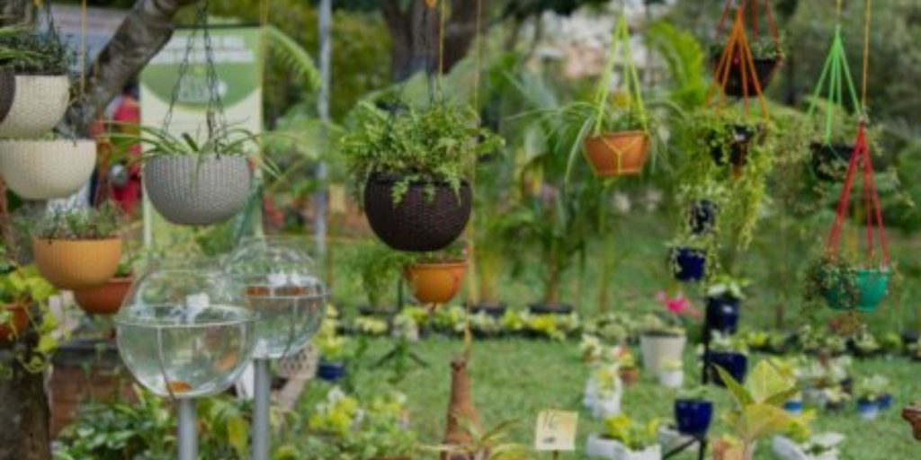 Hanging Baskets