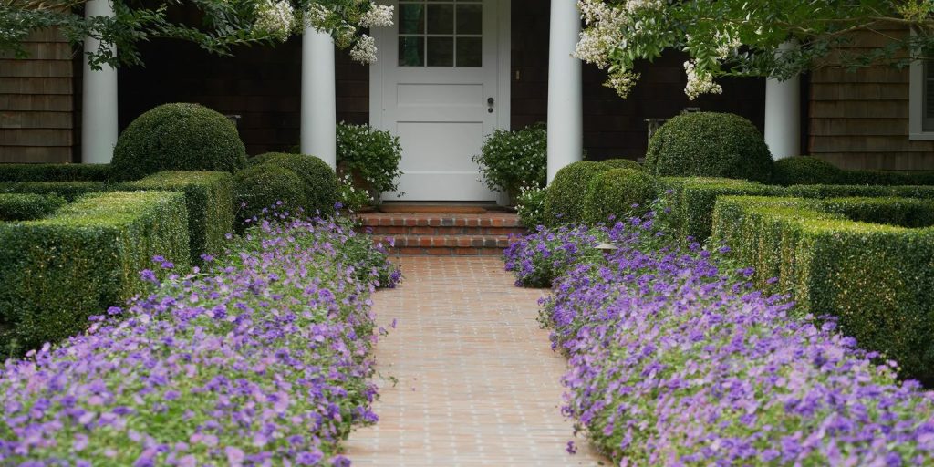 Lavender borders