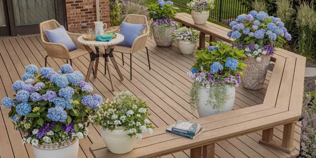 Potted Plants for Small Patio Gardens