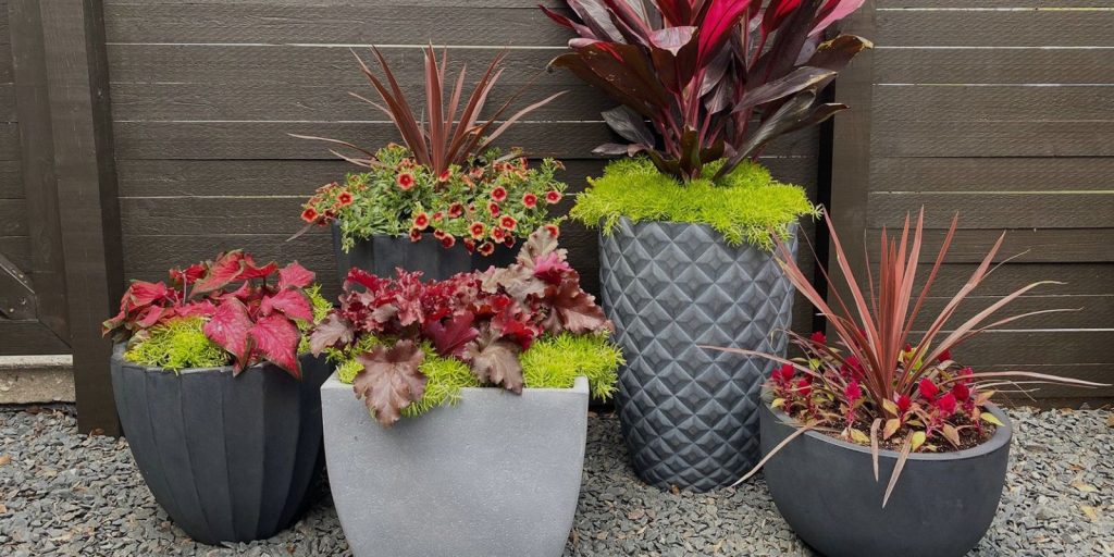 Statement Planters