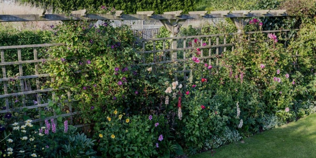 Trellises with Climbing Flowers