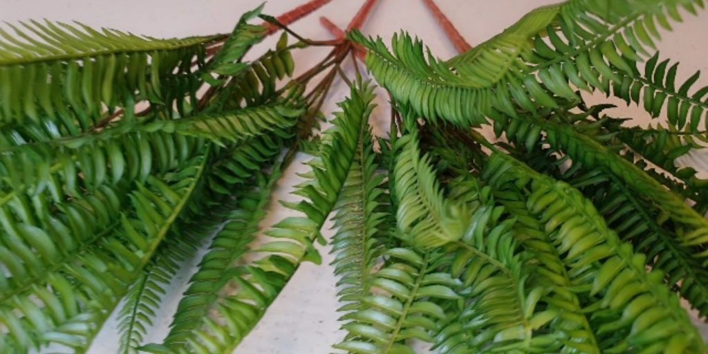 Artificial Fern Plants