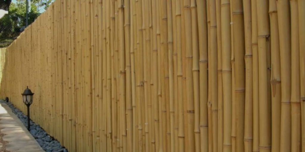 Bamboo Roll Fencing