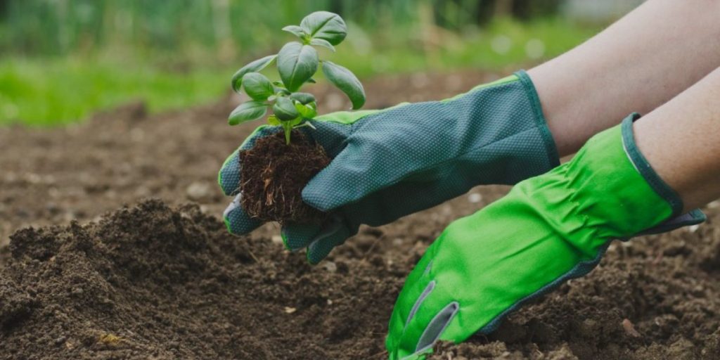 Garden Gloves