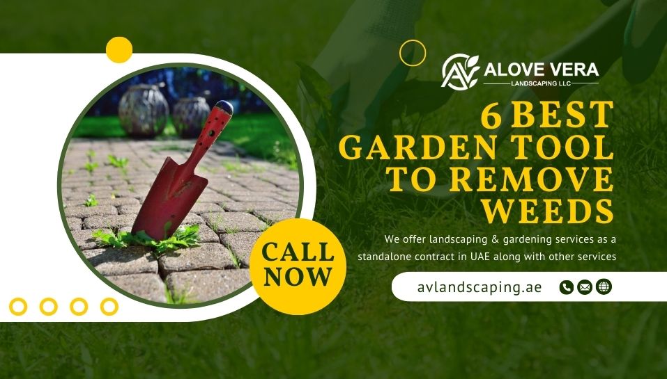 garden tool to remove weeds​