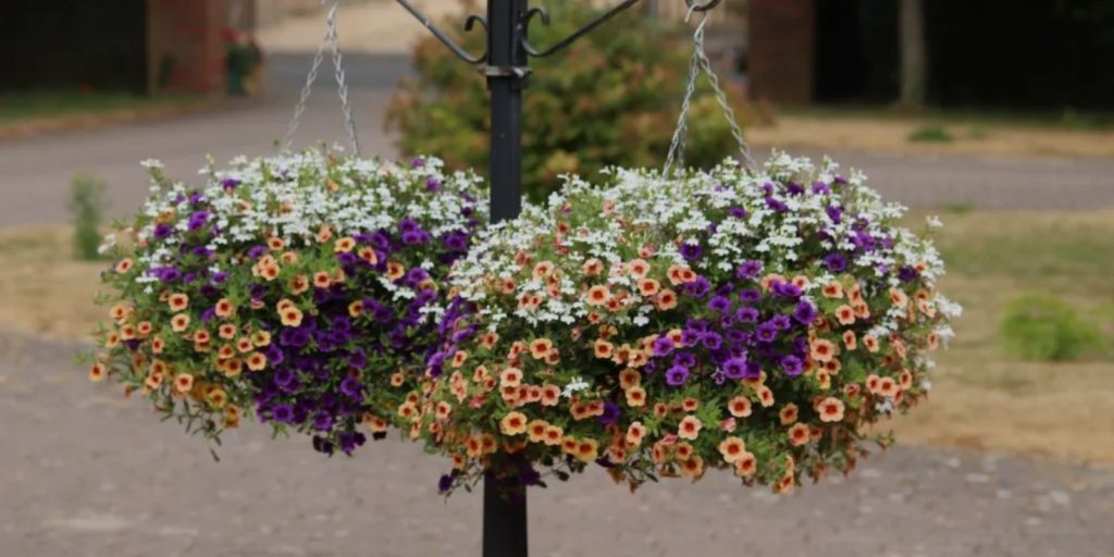 Hanging Flower Pots