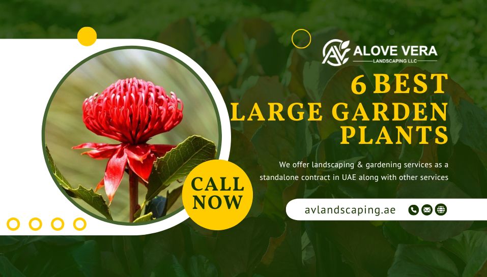 Large Garden Plants