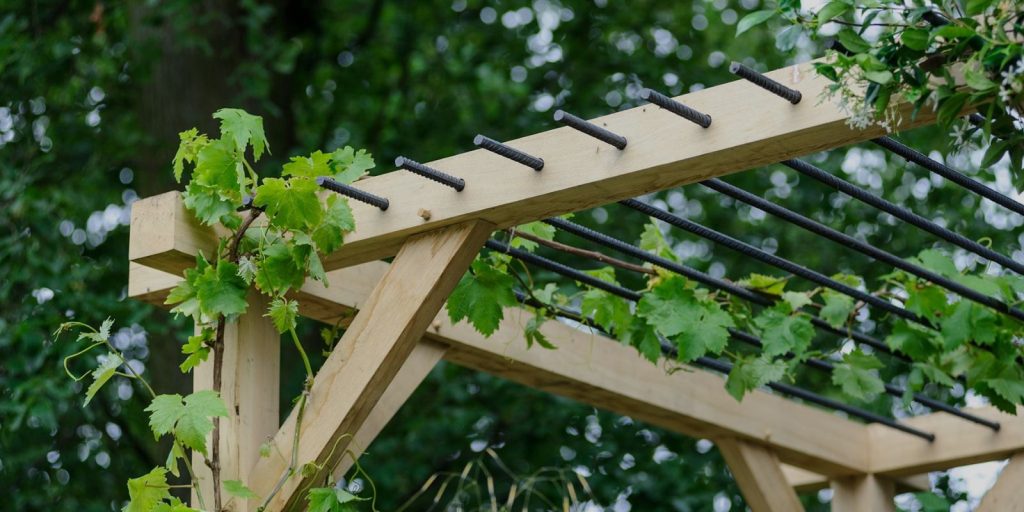 Pergola with Climbing Plants