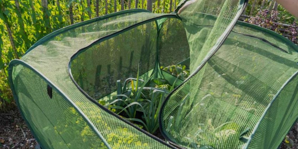 Pop-Up Plant Cages