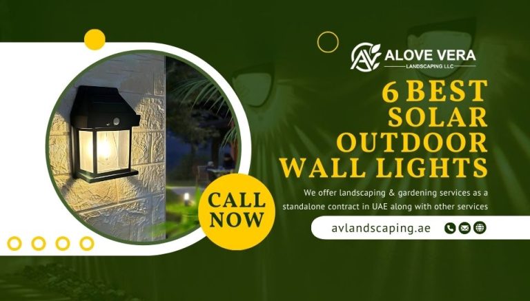 Solar Outdoor Wall Lights