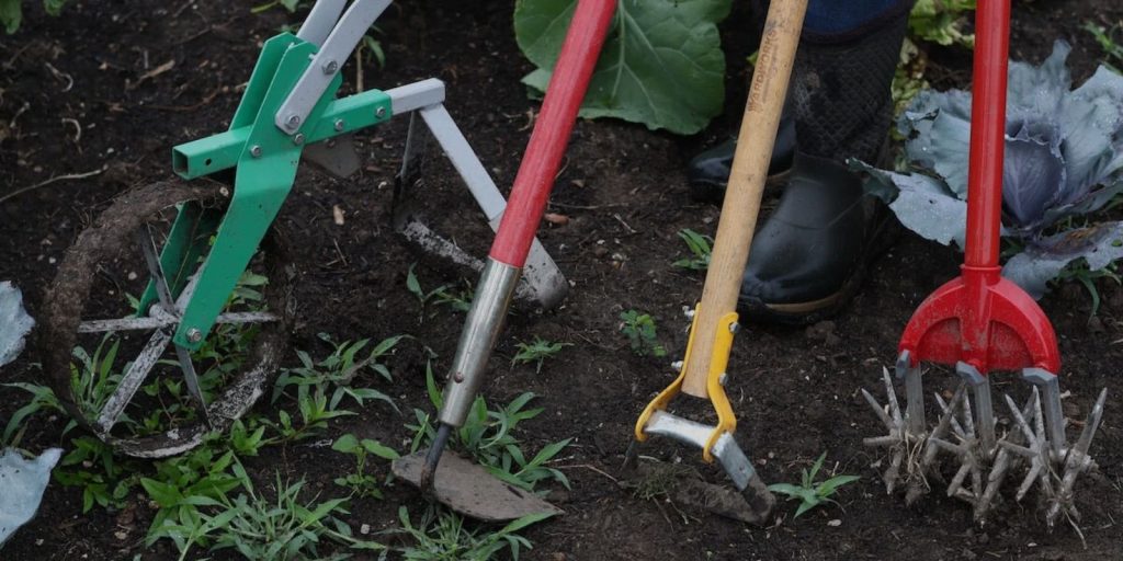 Techniques for Effective Weed Removal