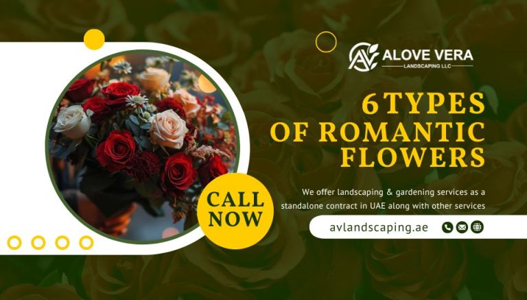 Types of Romantic Flowers