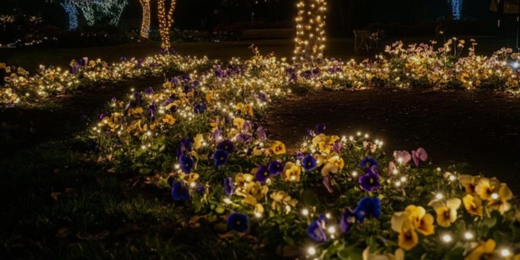 Garden Lighting