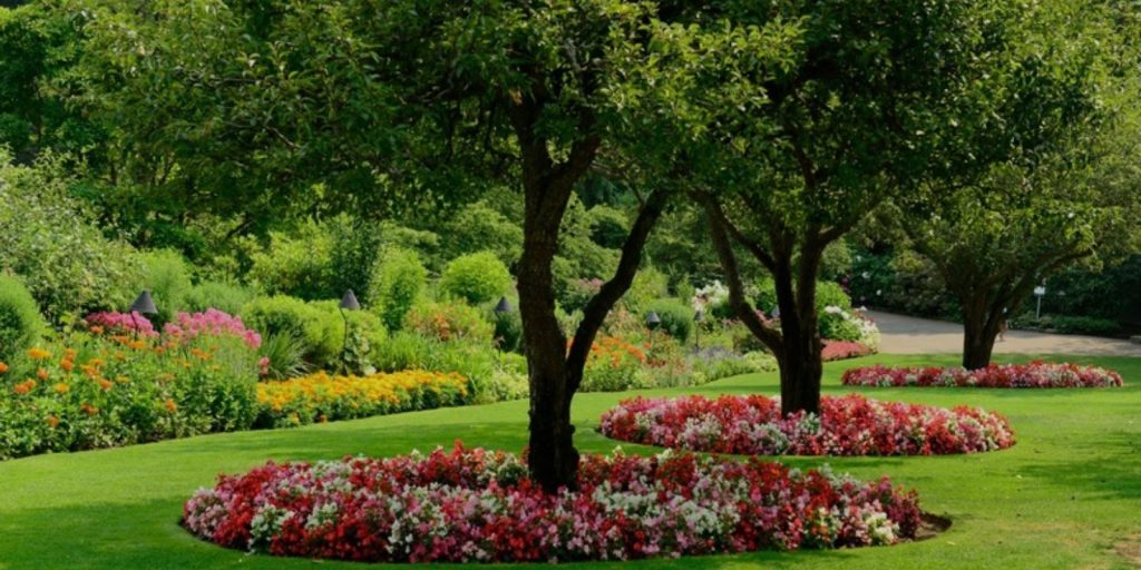 Sheltered Spaces with Shrubs and Trees