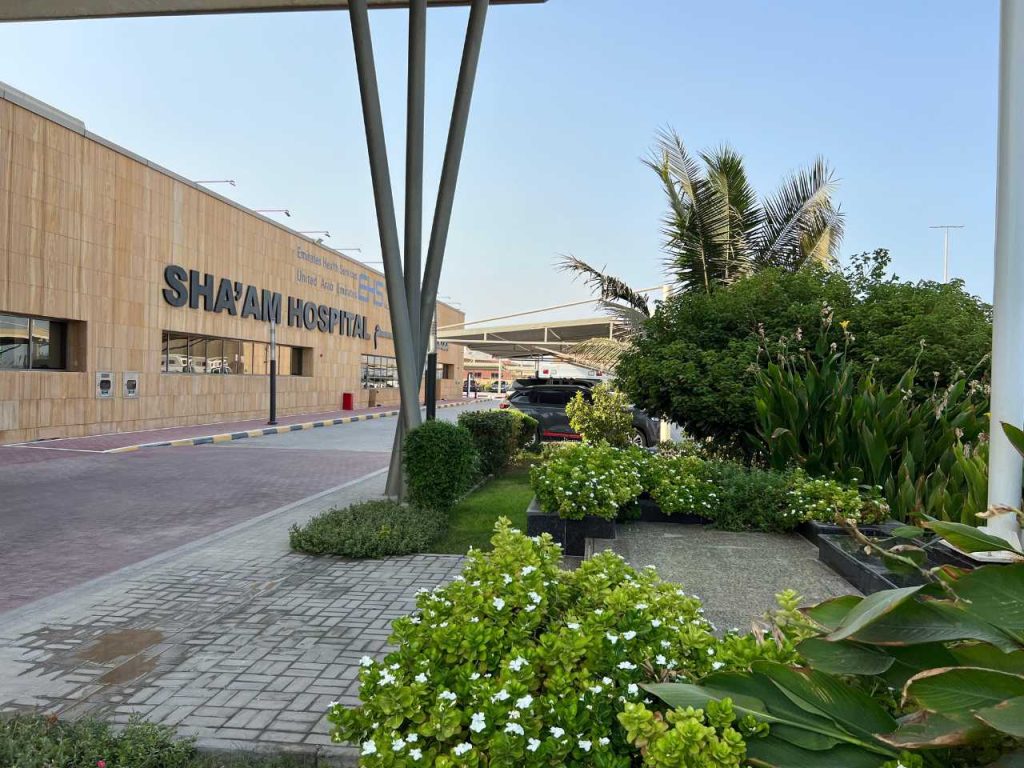 landscaping work in shaam hospital