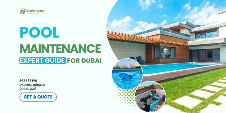 pool maintenance guide for dubai