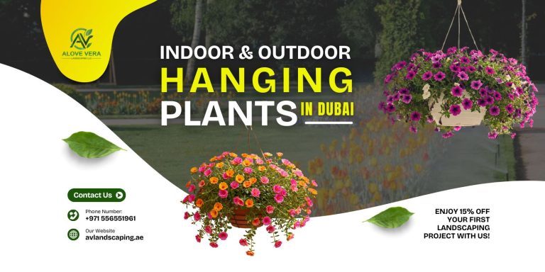 indoor and outdoor hanging plants