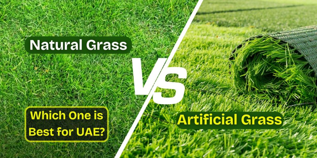 Harmful Environmental Impacts of Artificial Grass in UAE 2 Environmental Impacts of Artificial Grass vs natural grass for uae gardens