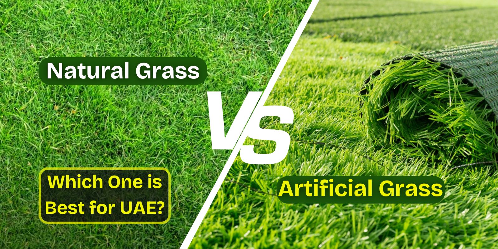 artificial grass vs natural grass for uae gardens