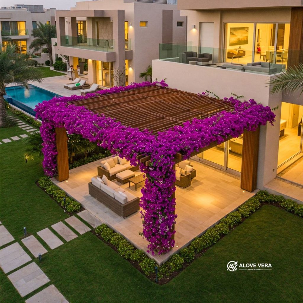 The Best Climbing Plants for Pergolas in Dubai 2 Bougainvillea the best climbing plants for pergolas