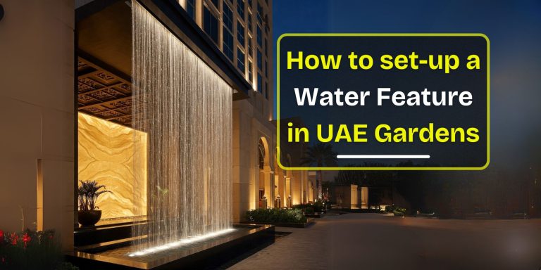 How to Set Up a Water Feature in UAE Gardens