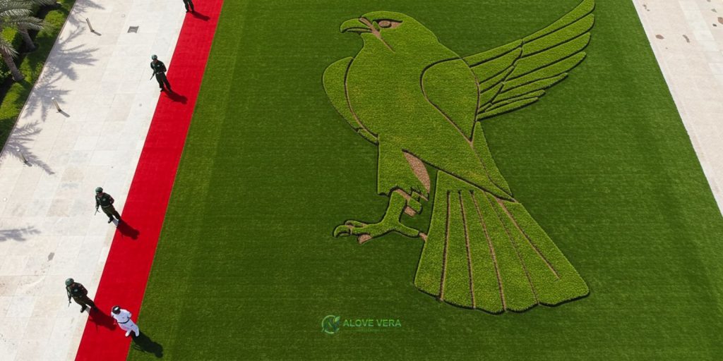 7 Trending Lawn Mowing Patterns for Luxury UAE Lawns 7 falcon crest lawn mowing pattern with a red carpet