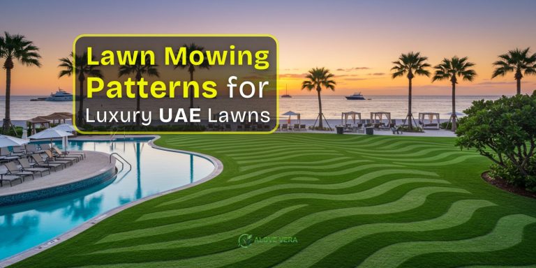 Lawn Mowing Sprial Oasis Patterns for Luxury UAE Lawns