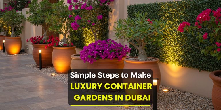 Make Luxury Container garden in Dubai step by step