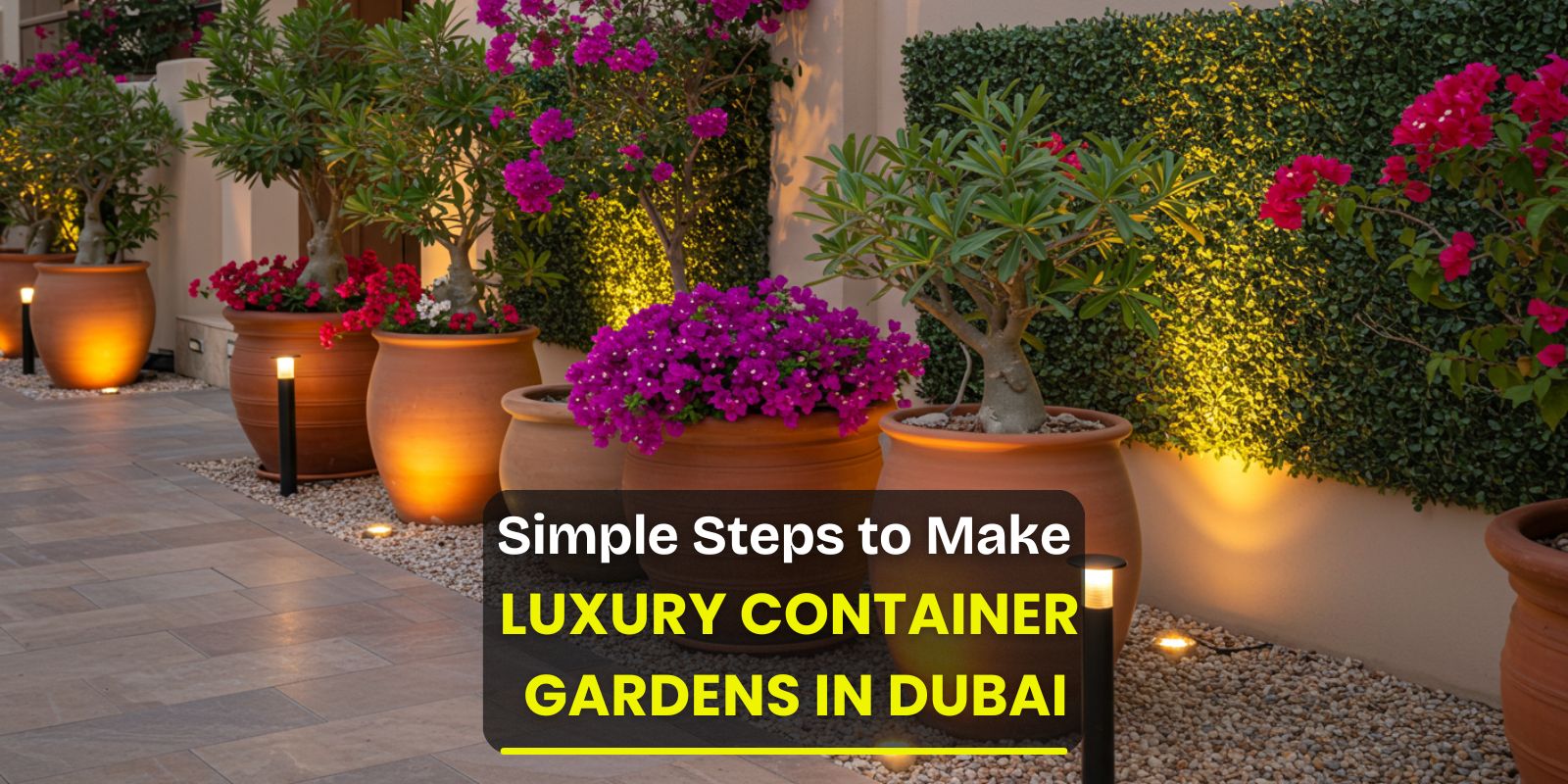 Make Luxury Container garden in Dubai step by step