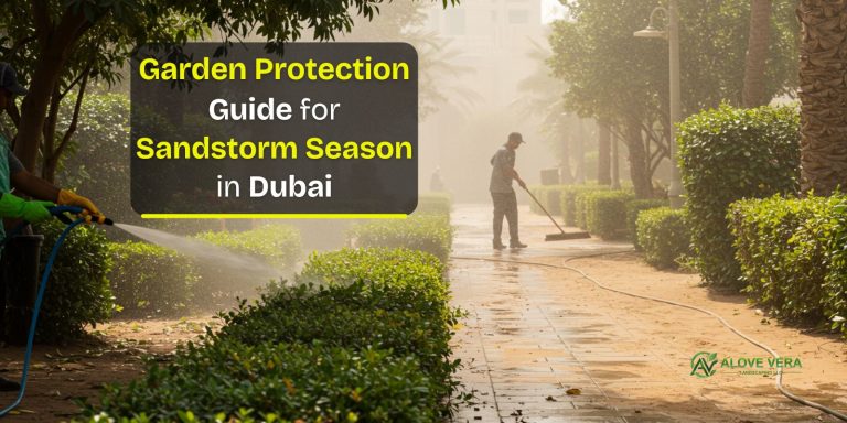 Expert Garden Protection Dubai Guide for Sandstorm Season