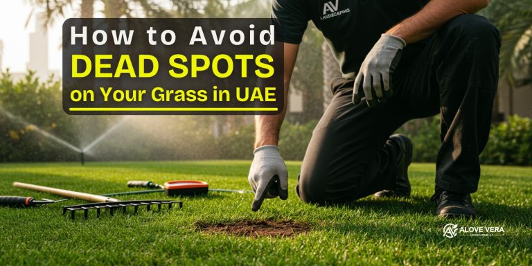 How to Avoid Dead Spots on Your Grass in the UAE